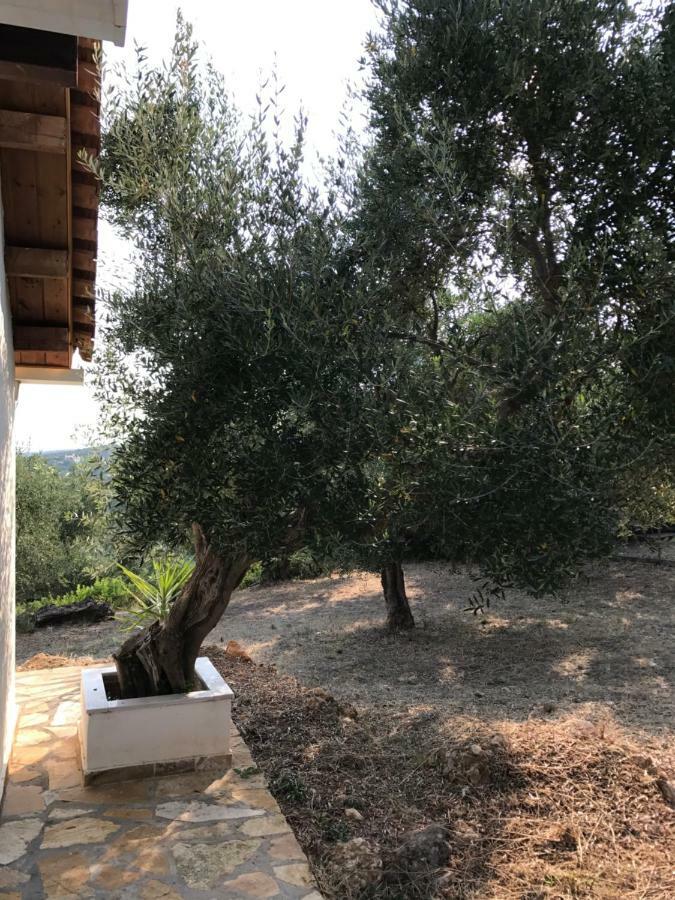 Ferienhaus Olive Garden Kyparissia Buitenkant foto