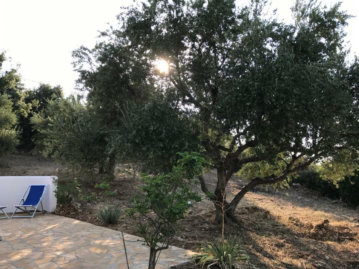 Ferienhaus Olive Garden Kyparissia Buitenkant foto